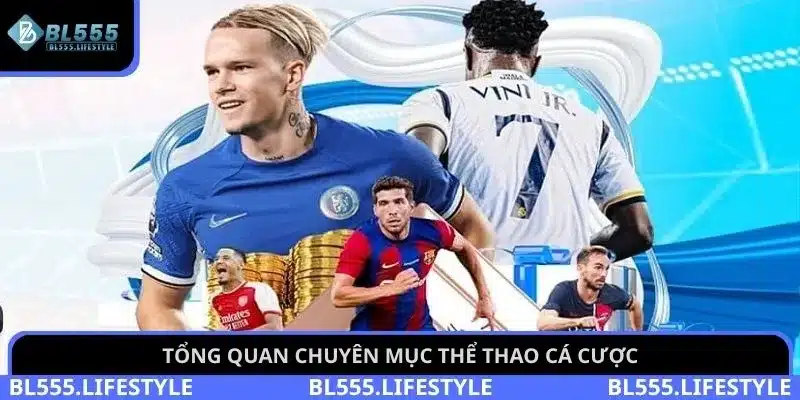 Thể thao BL555 1 Tổng quan chuyên mục thể thao cá cược
